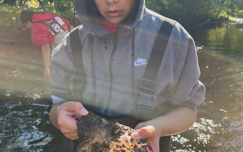 photo of student studying rock with moss